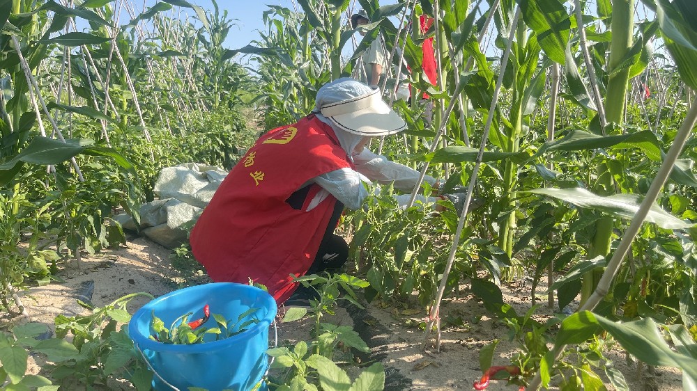 中瀛红管家|爱心助农，来自物业人的记挂与心意